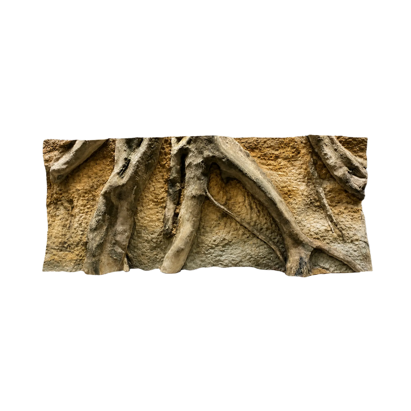 massive-roots-in-the-soil-background-main