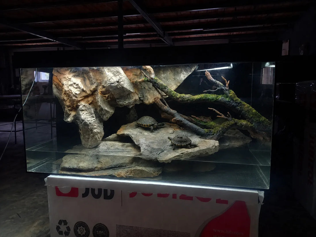 turtle-terrarium-rock-and-root-setup
