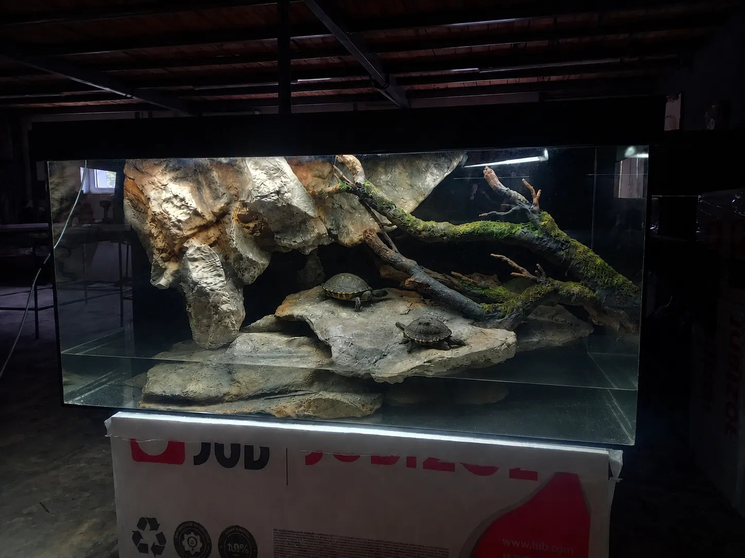 turtle-terrarium-rock-and-root-setup