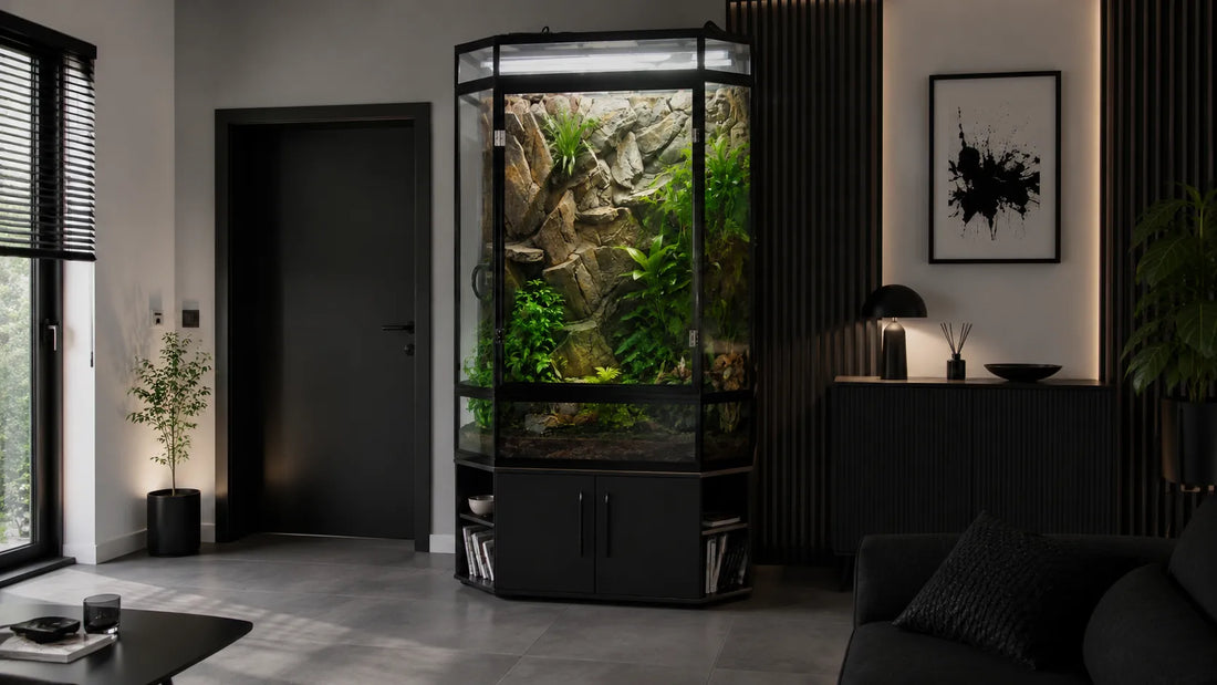 vertical-vivadecor-terrarium
