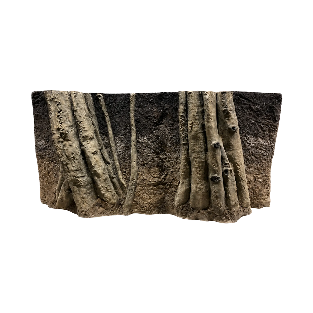 amazonian-roots-in-dark-soil-background-main