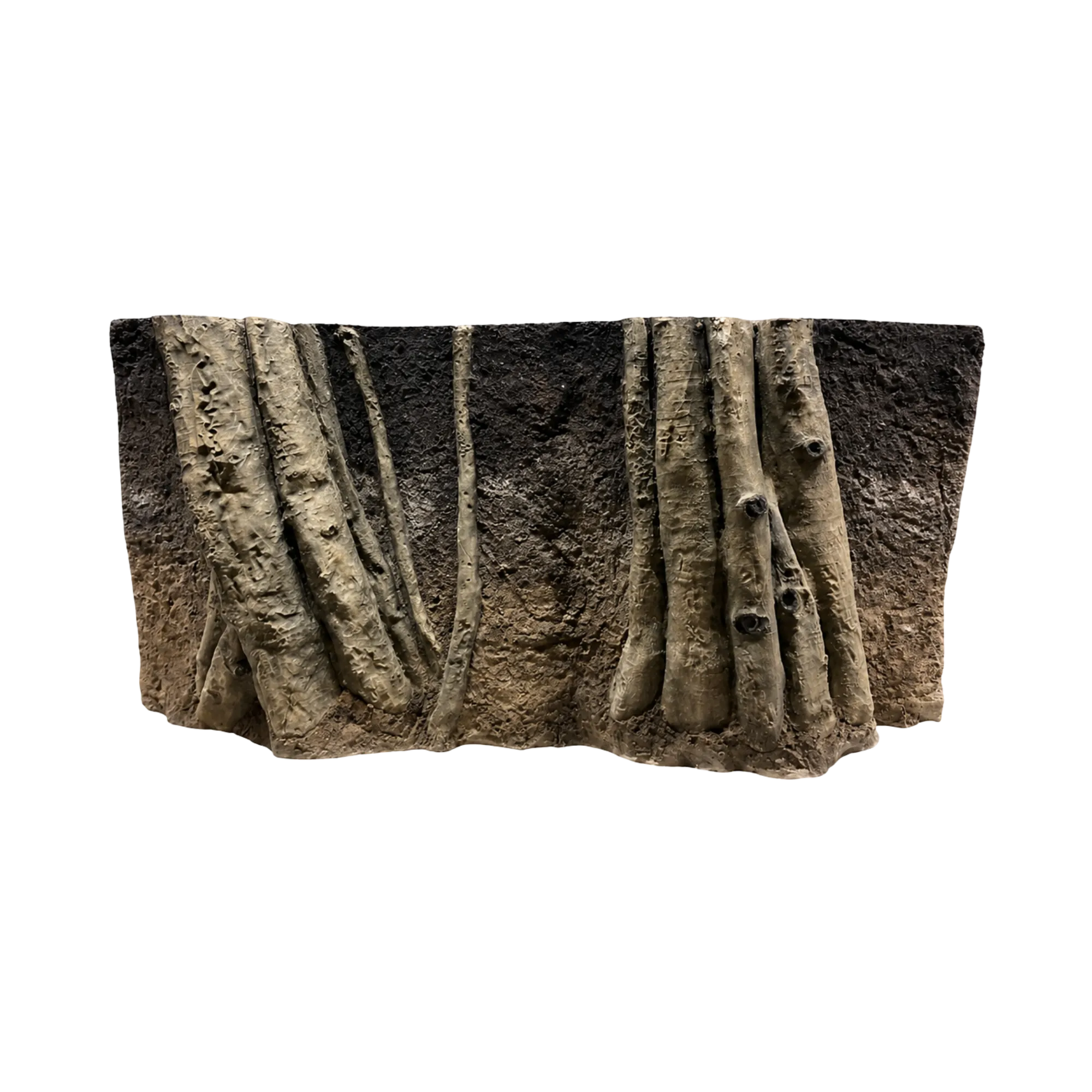 amazonian-roots-in-dark-soil-background-main