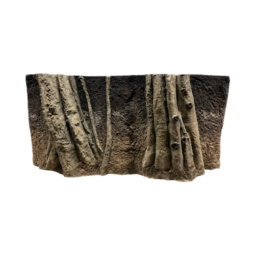amazonian-roots-in-dark-soil-background-main