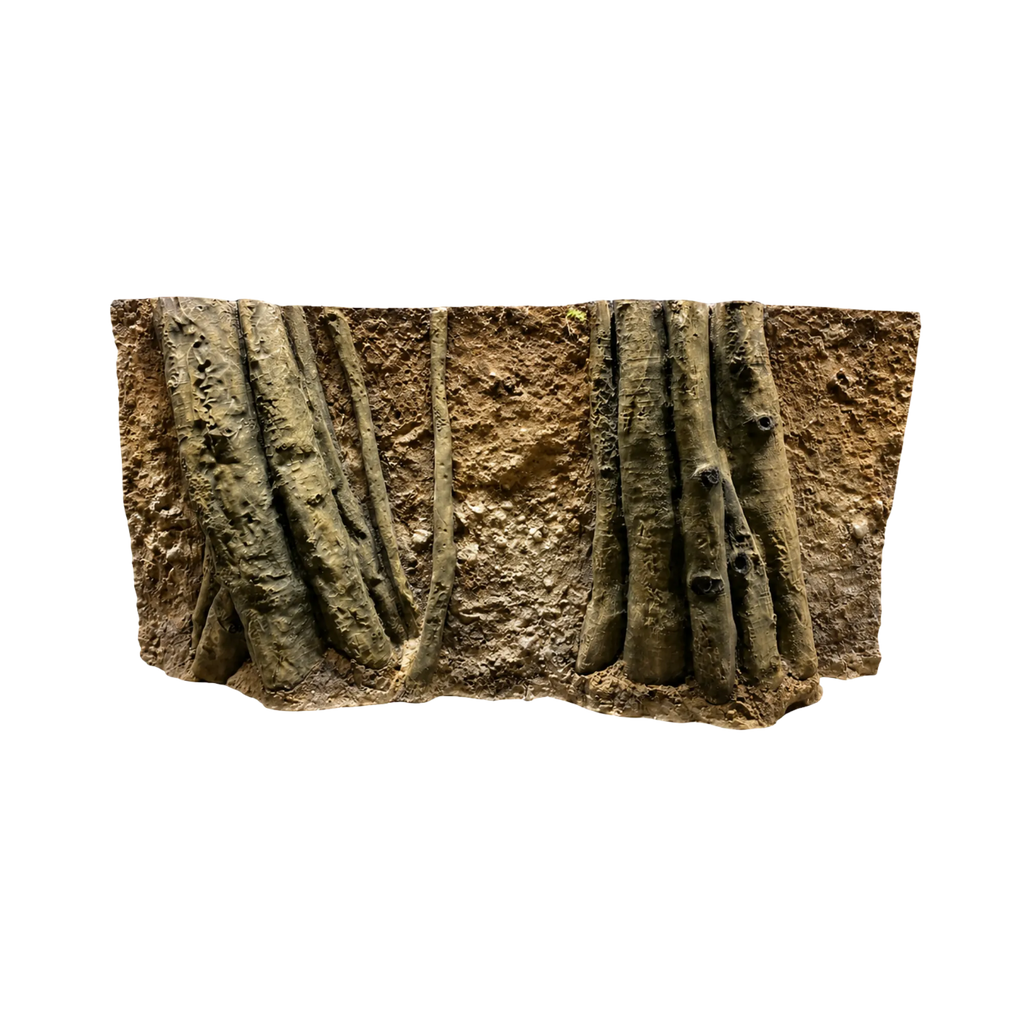 amazonian-roots-in-the-soil-background-main