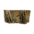 amazonian-roots-in-the-soil-background-main