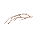 driftwood-branch-main