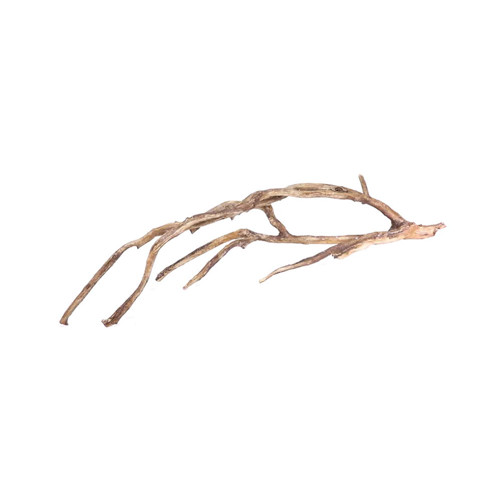driftwood-branch-main