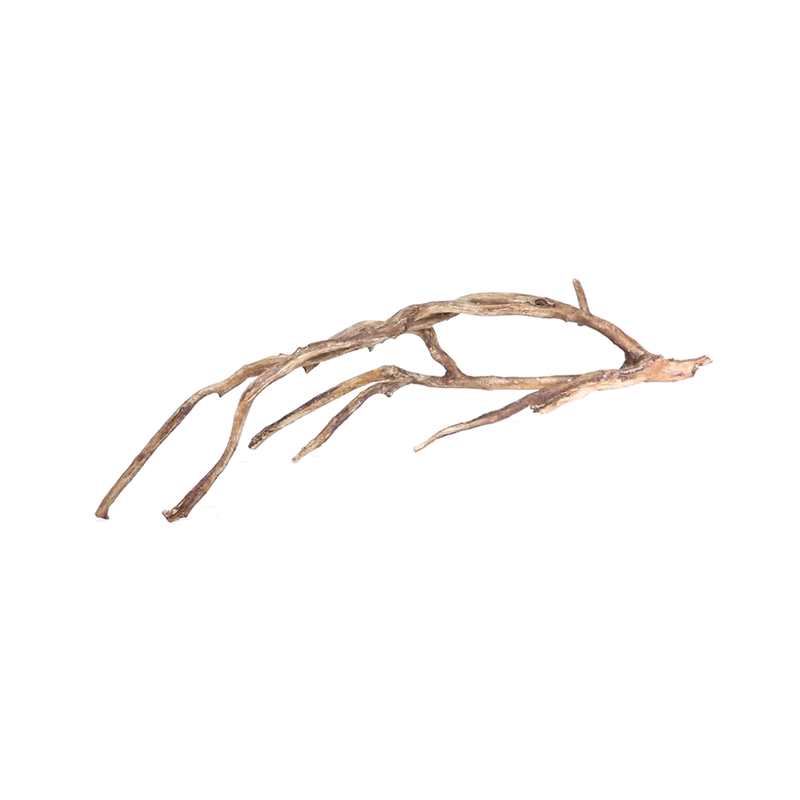 driftwood-branch-main