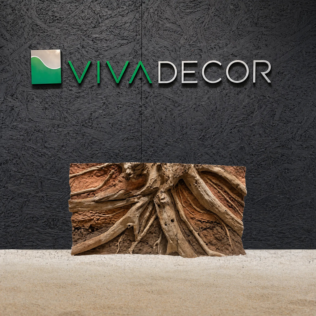driftwood-in-red-soil-background-main
