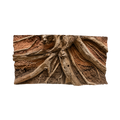 driftwood-in-red-soil-background-main
