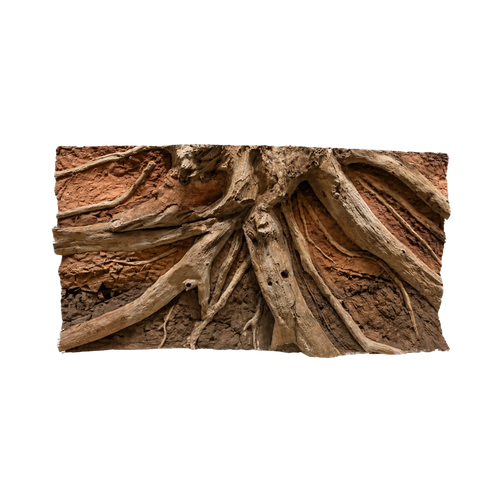 driftwood-in-red-soil-background-main