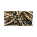 driftwood-in-sandy-soil-background-main