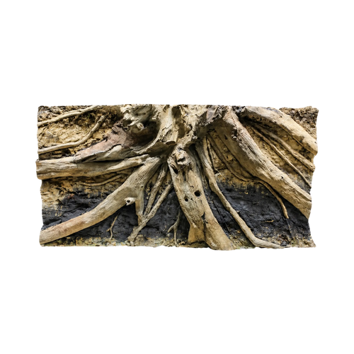 driftwood-in-sandy-soil-background-main