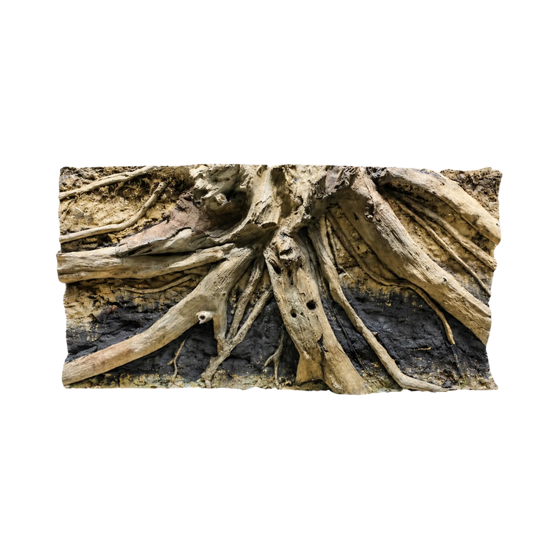 driftwood-in-sandy-soil-background-main