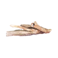 driftwood-reptile-retreat-main
