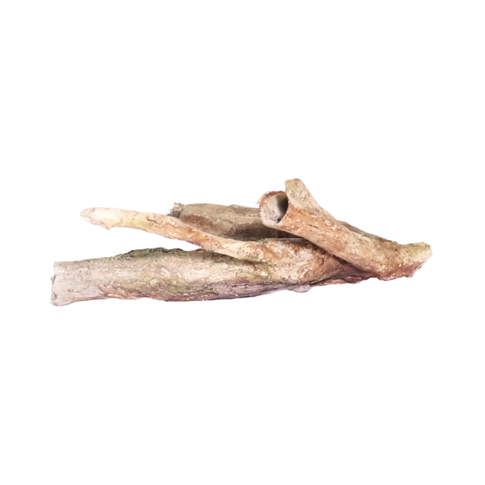 driftwood-reptile-retreat-main