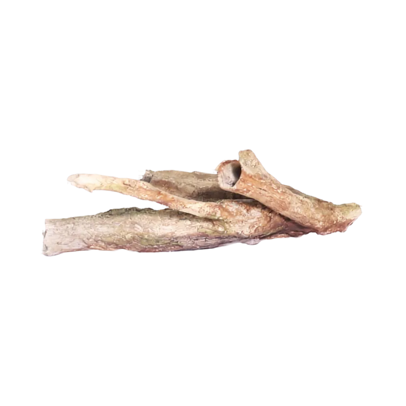 driftwood-reptile-retreat-main