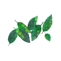 green-leaves-main