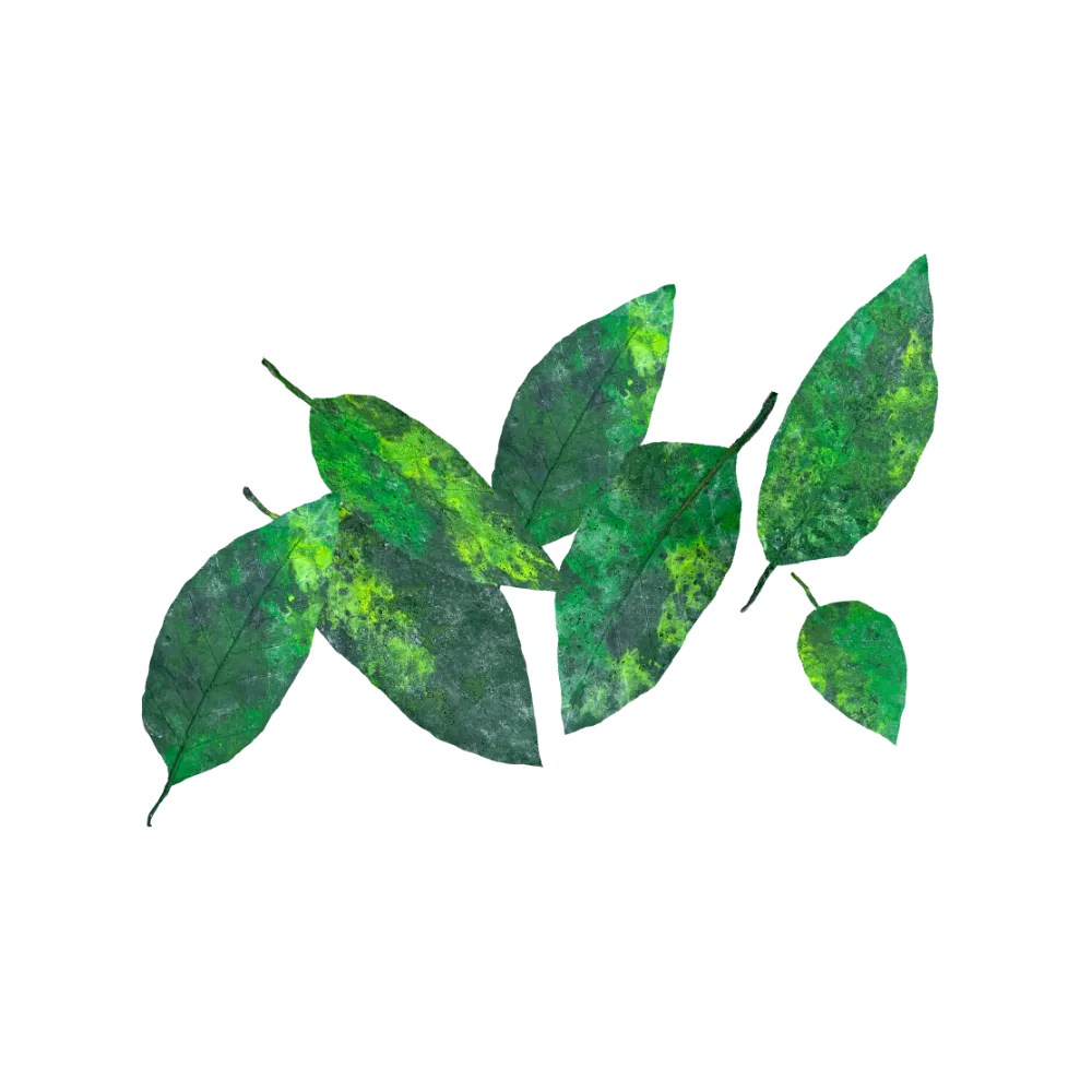 green-leaves-main