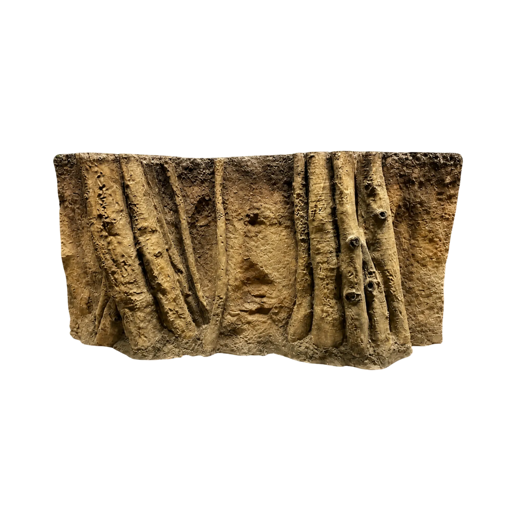 huge-roots-in-yellow-soil-background-main