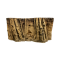huge-roots-in-yellow-soil-background-main