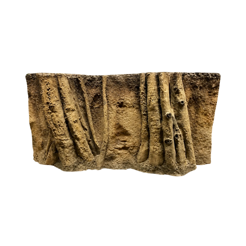 huge-roots-in-yellow-soil-background-main