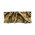 massive-roots-in-the-soil-background-main