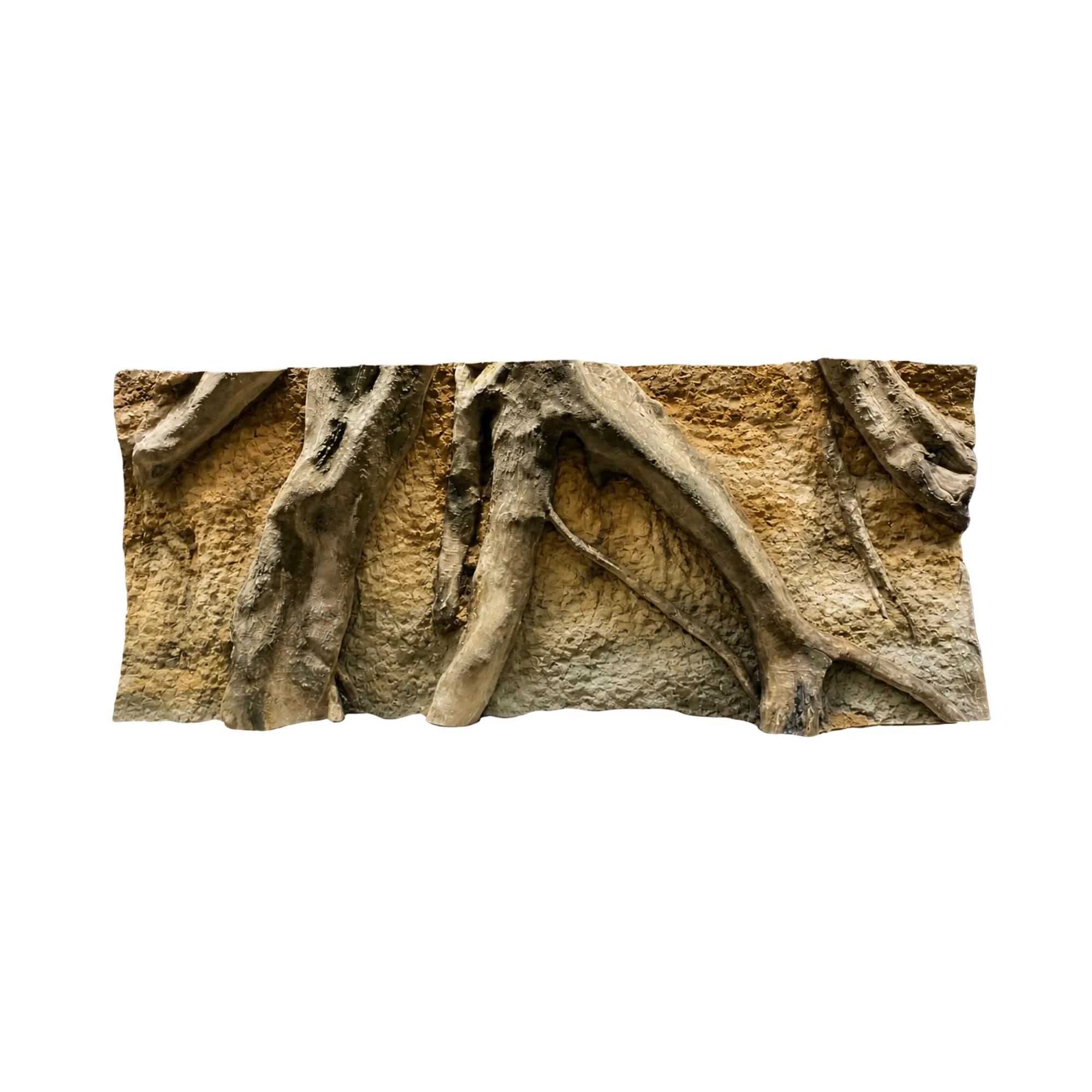 massive-roots-in-the-soil-background-main