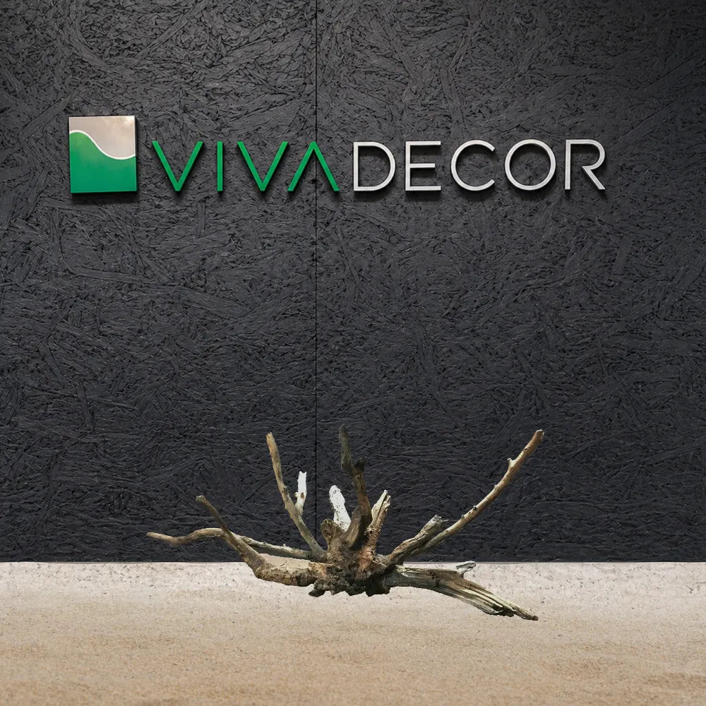 massive-spider-root-1