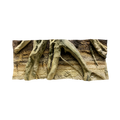 massive-yellow-soil-roots-background-main