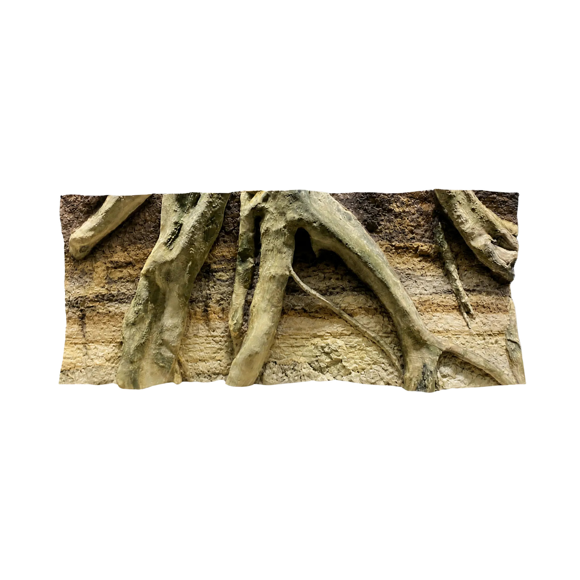 massive-yellow-soil-roots-background-main