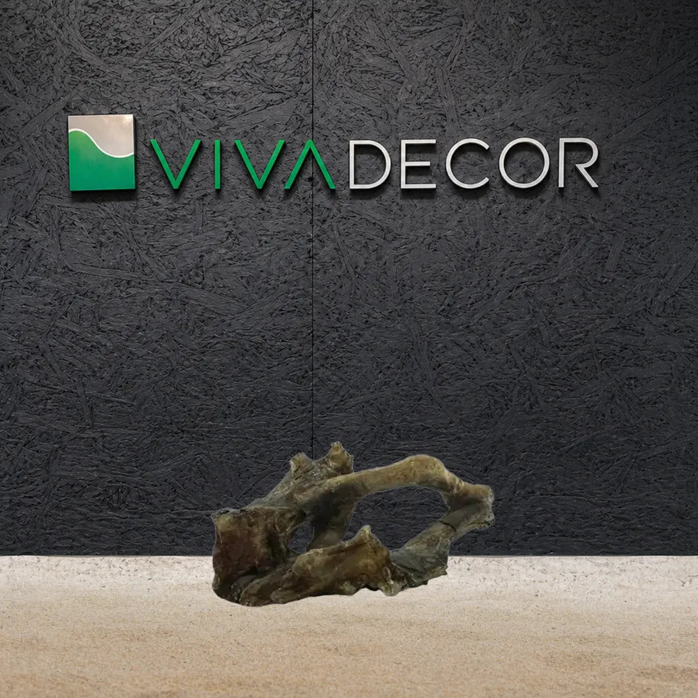 petrified-driftwood-shelter-1