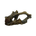 petrified-driftwood-shelter-main