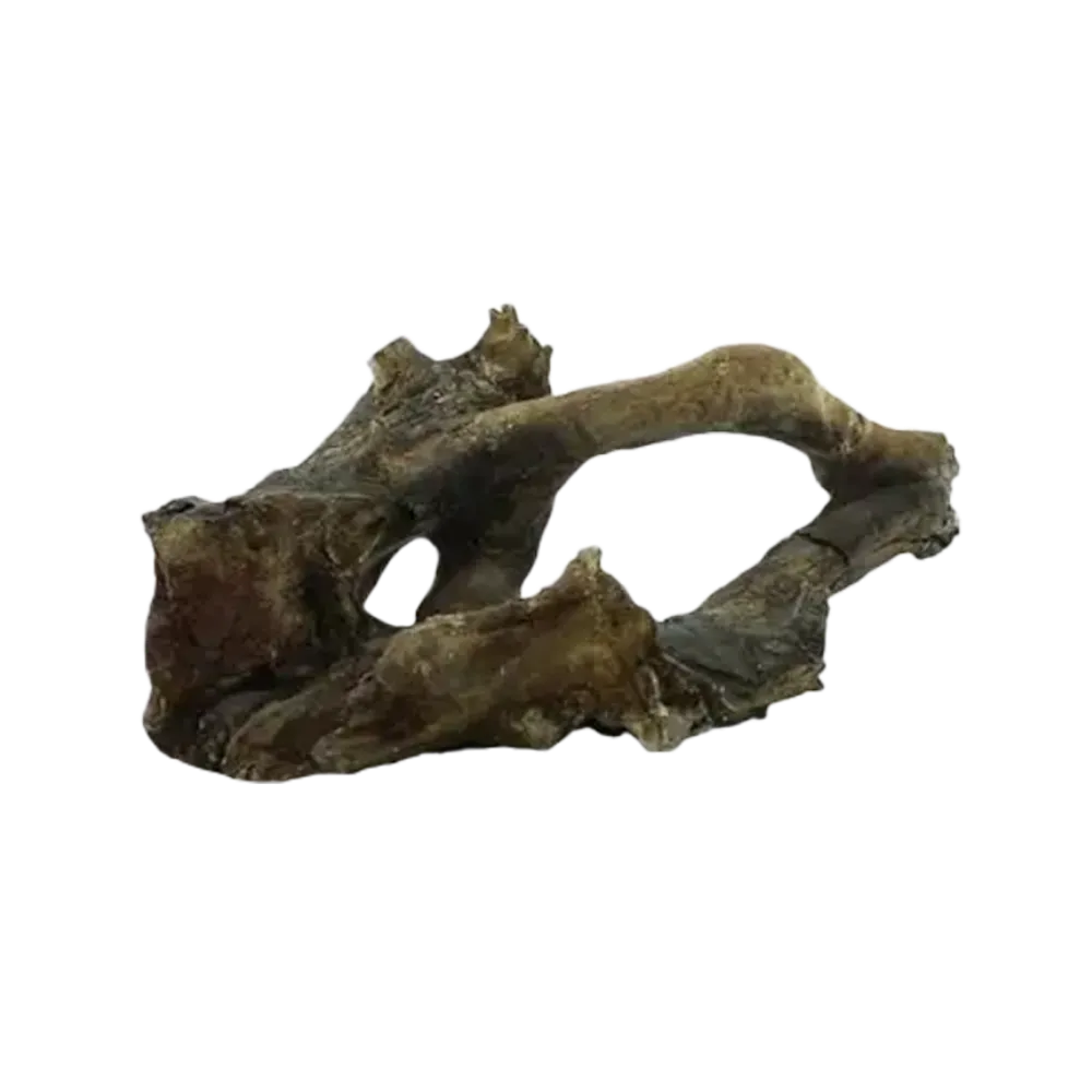 petrified-driftwood-shelter-main
