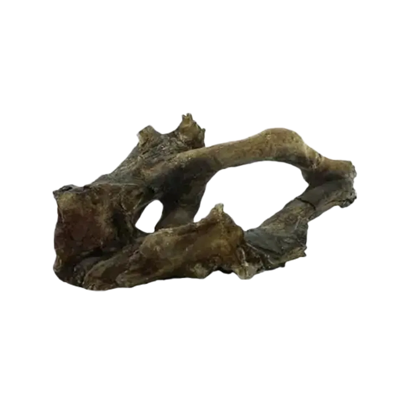 petrified-driftwood-shelter-main