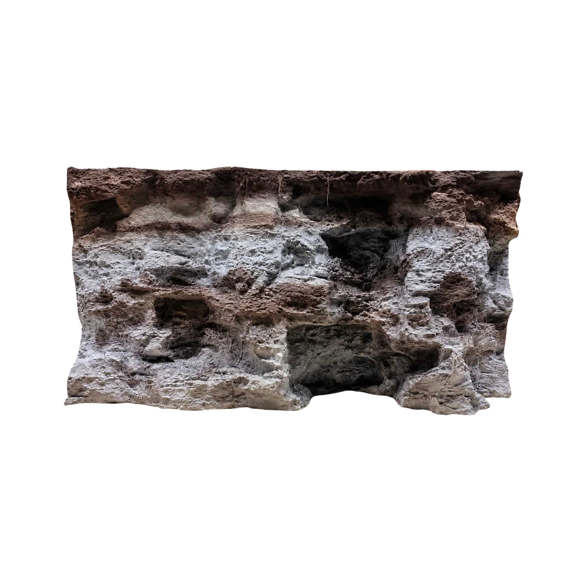 porous-rock-hide-background-main