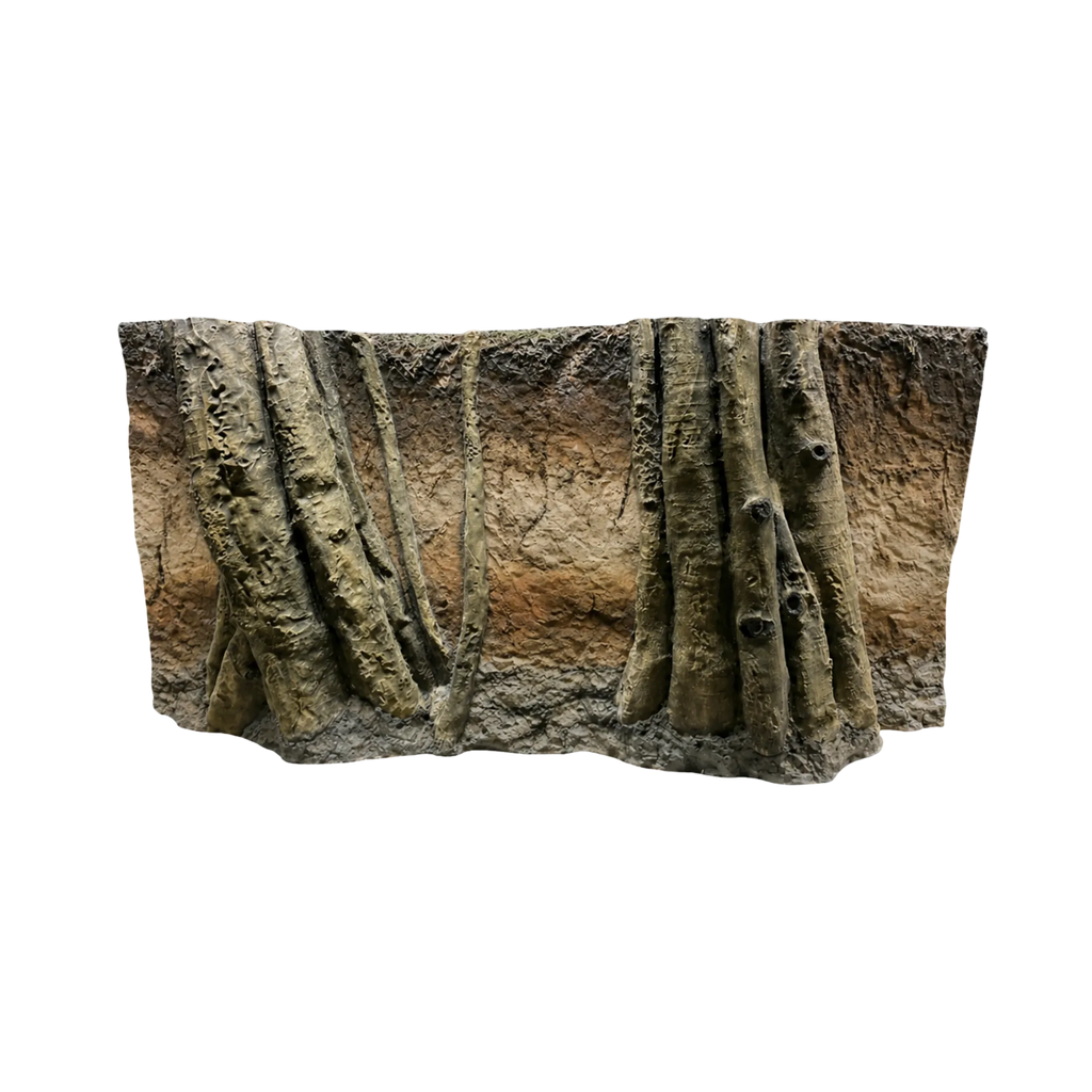 Rainforest Roots In Soil Layers Background