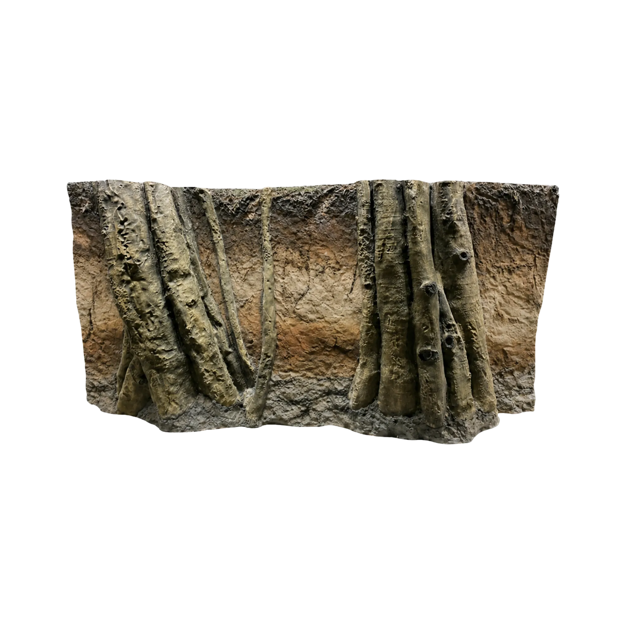 Rainforest Roots In Soil Layers Background