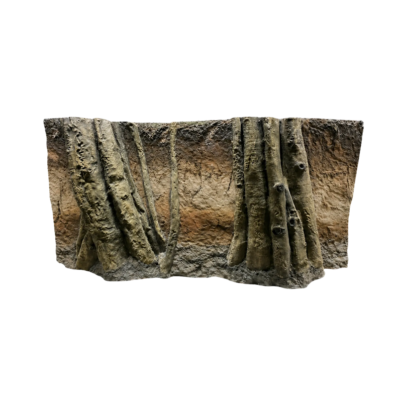 Rainforest Roots In Soil Layers Background