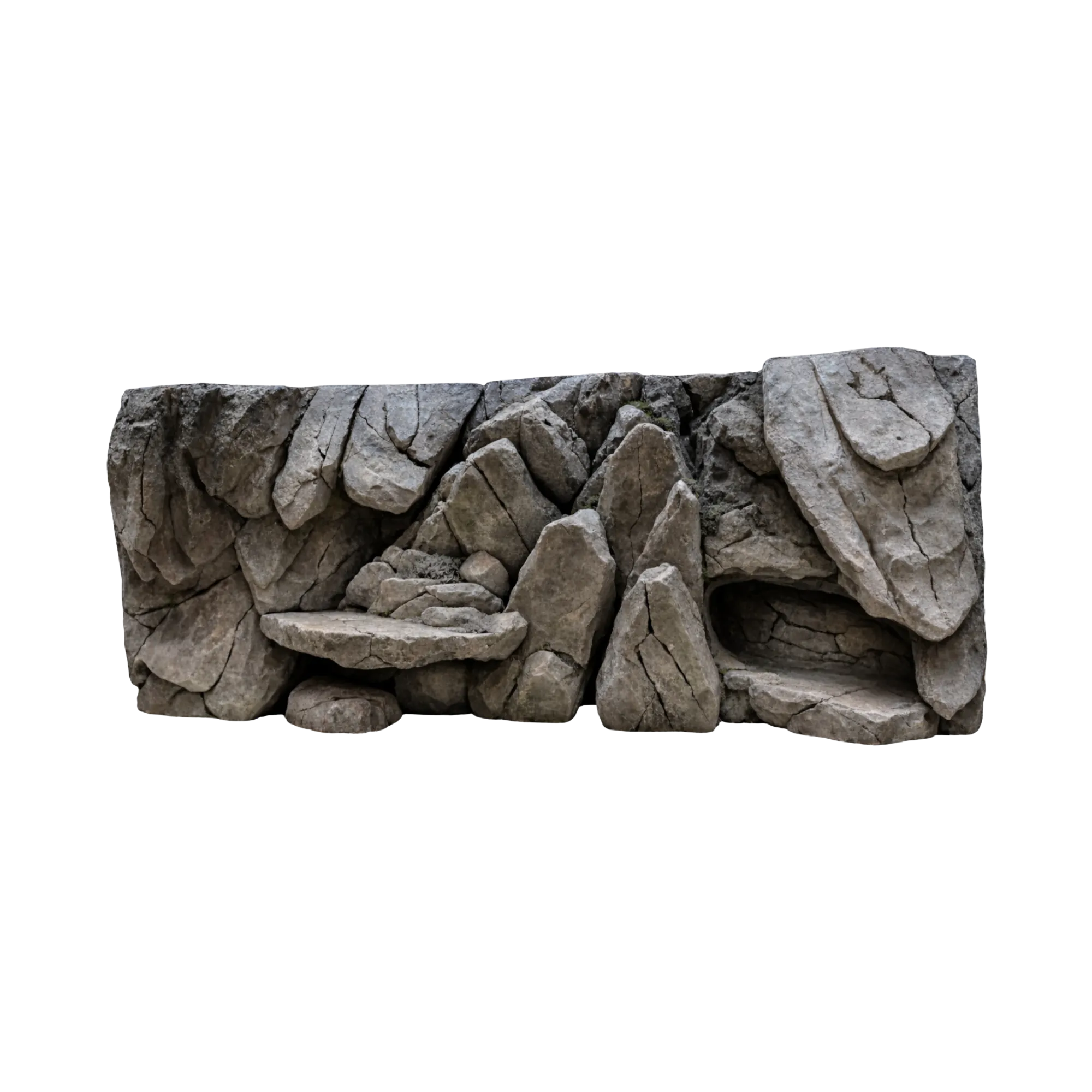 reptile-rock-background-main