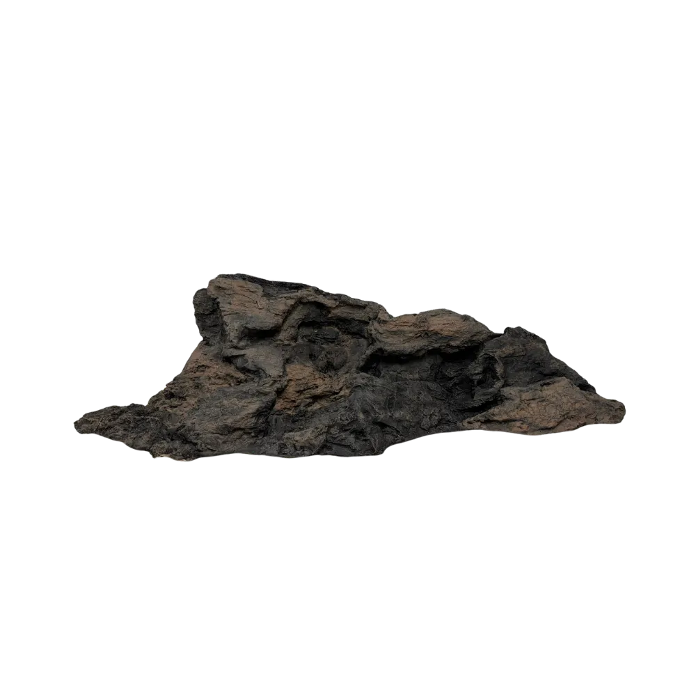 Reptile Rocky Island