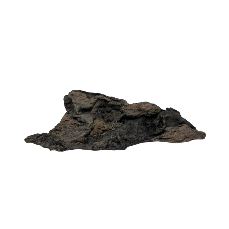 Reptile Rocky Island