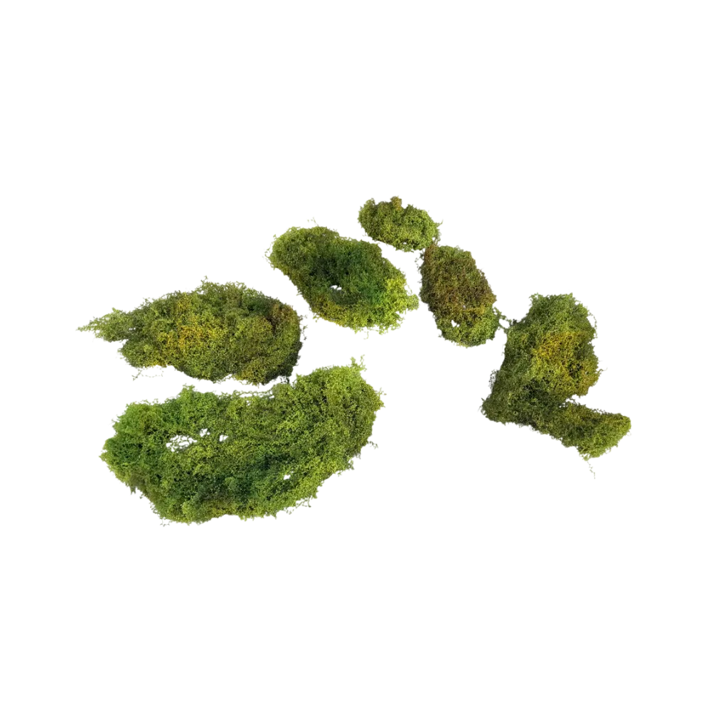 terrarium-moss-main