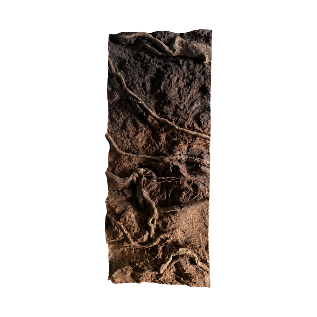 thin-roots-in-brown-soil-background-main