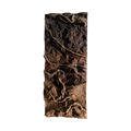 thin-roots-in-brown-soil-background-main