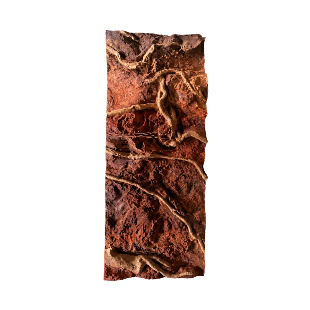 thin-roots-in-red-soil-background-main