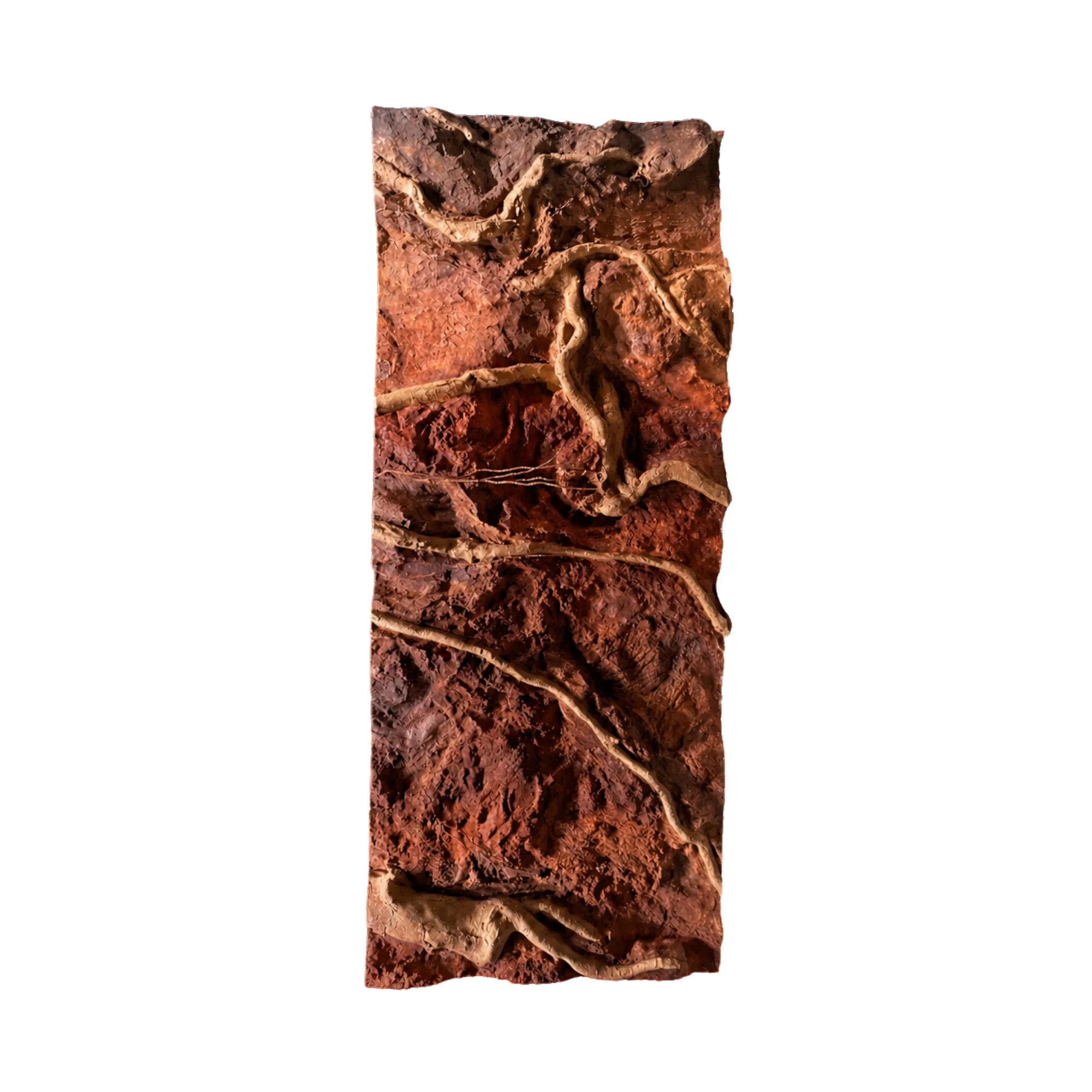 thin-roots-in-red-soil-background-main