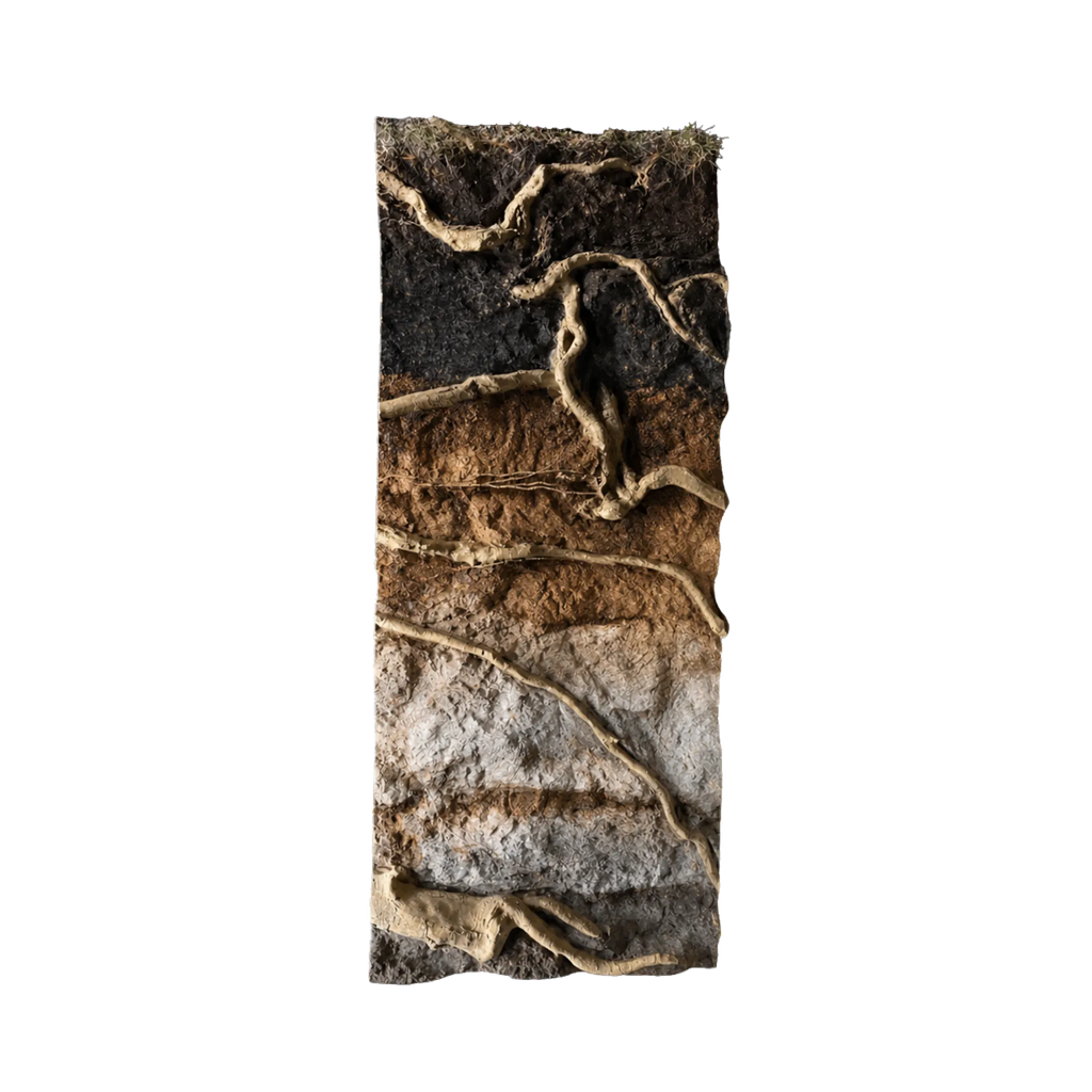 thin-roots-in-soil-layers-background-main
