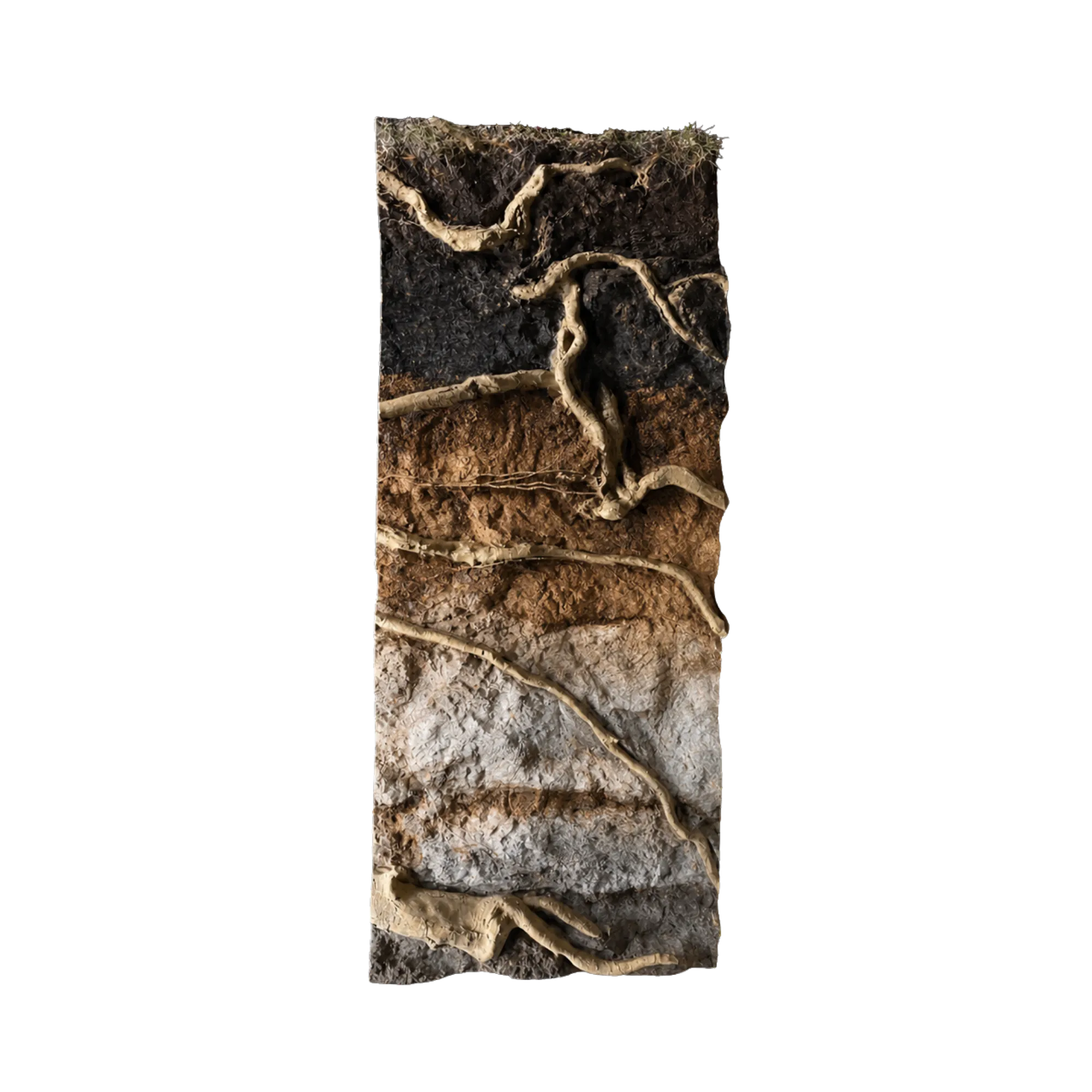 thin-roots-in-soil-layers-background-main