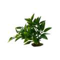tropical-green-plant-main